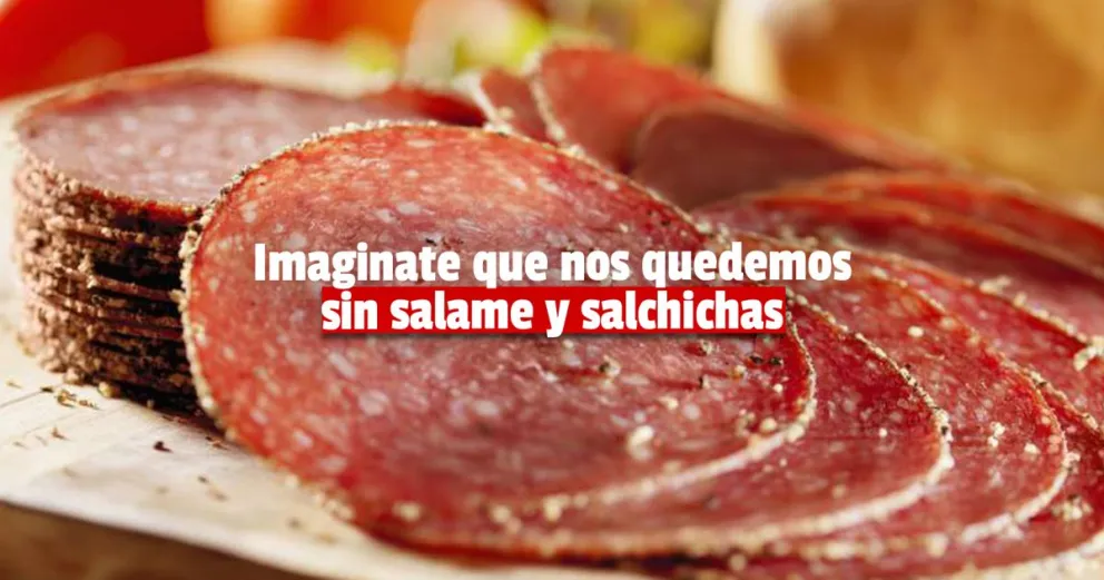  Por el laberinto para importar podrían faltar salamines, salchichas, pañales descartables y vasos de plástico