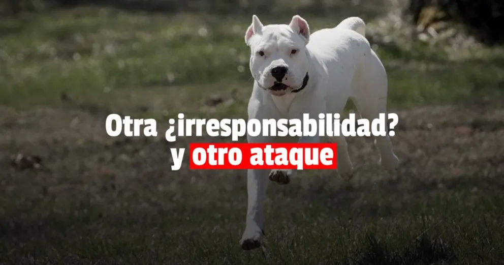 Un perro atacó a un bebé y le dejó graves heridas en la cabeza
