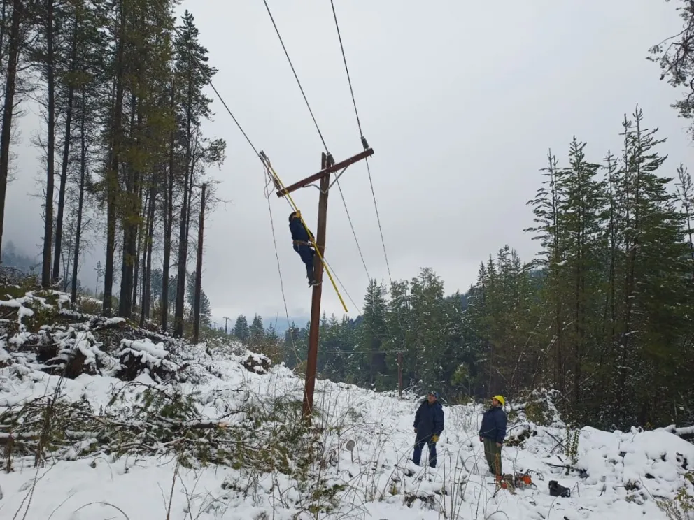 Continúan los trabajos para reparar postes y líneas eléctricas afectadas por el temporal de nieve en la Comarca Andina 