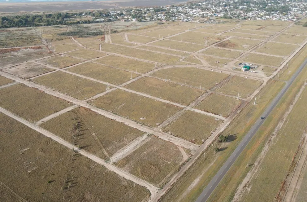 El Cóndor podría aumentar considerablemente su población en poco tiempo