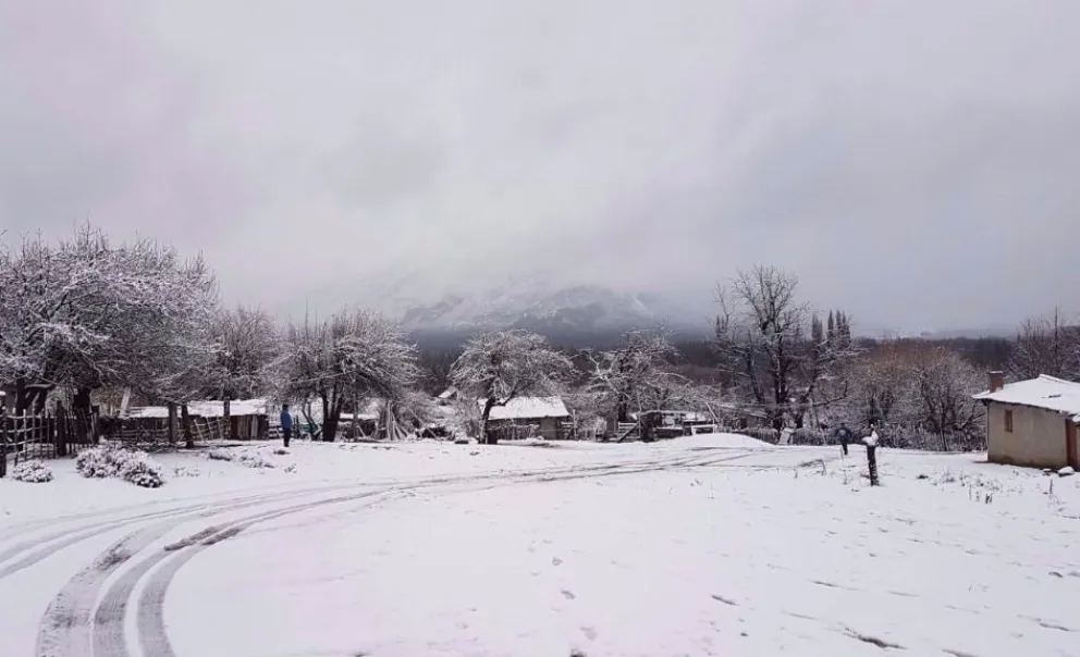 Tras el temporal de nieve, actualizan la situación en El Hoyo