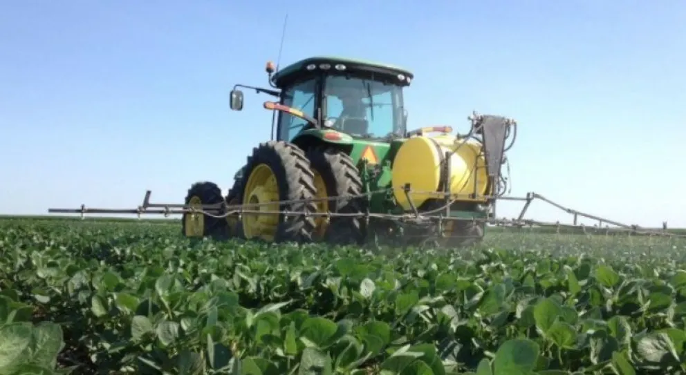 'Dólar soja': La nueva medida del Gobierno para apaciguar al sector agropecuario