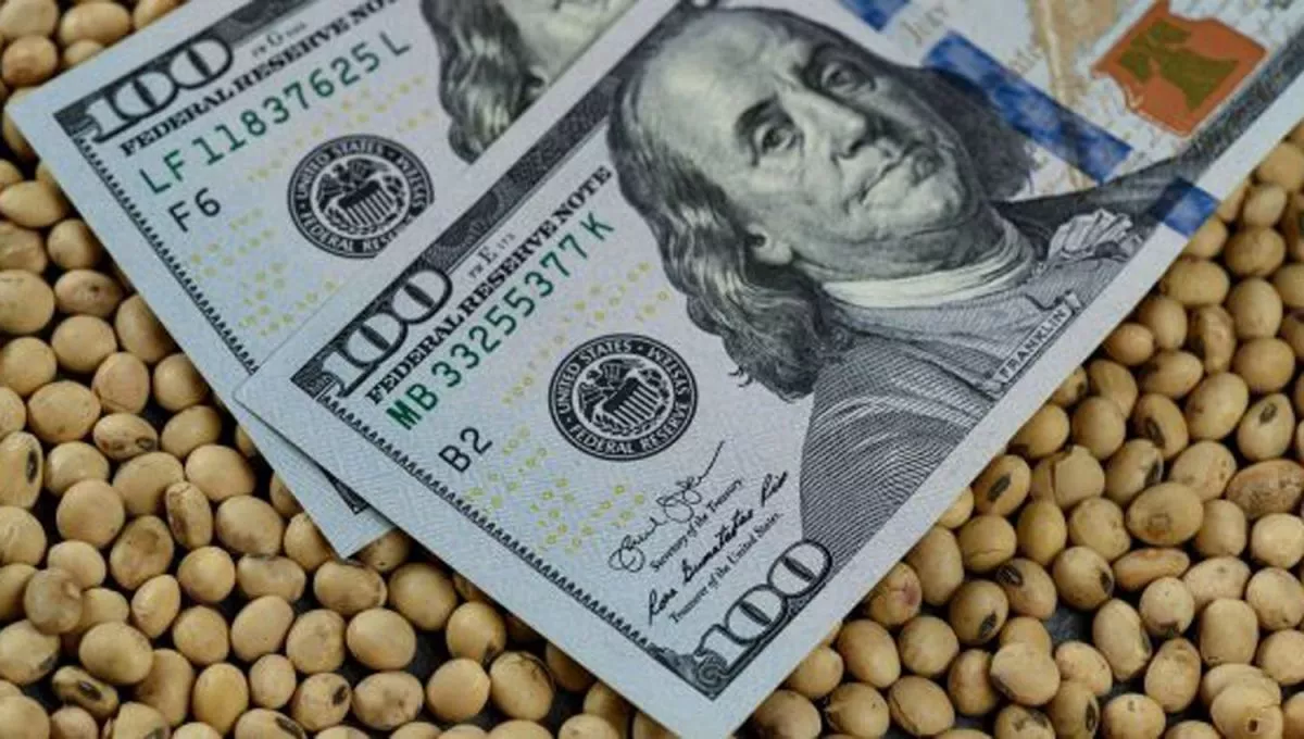 Dólar Agro”: el nuevo tipo de cambio para que los productores liquiden su  cosecha | Diario El Cordillerano