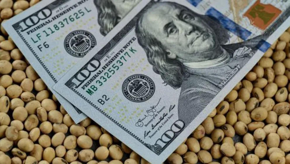 “Dólar Agro”: el nuevo tipo de cambio para que los productores liquiden su cosecha