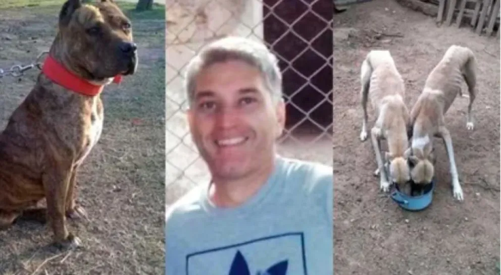 Impactante: un hombre fue escrachado porque robaba galgos para darle de comer a su pitbull
