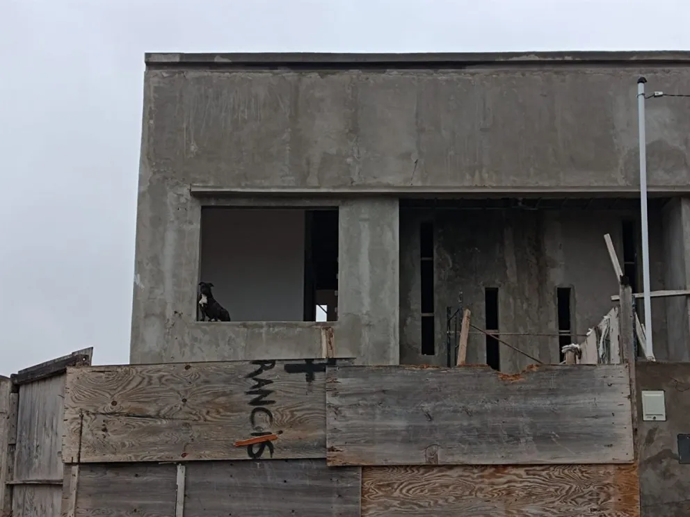 Obra en construcción. Foto archivo.