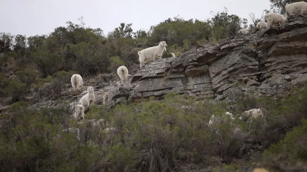 Un documental local fue premiado en Italia