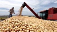 Massa y las cerealeras negocian un nuevo dólar "agro": piden que cotice a $200