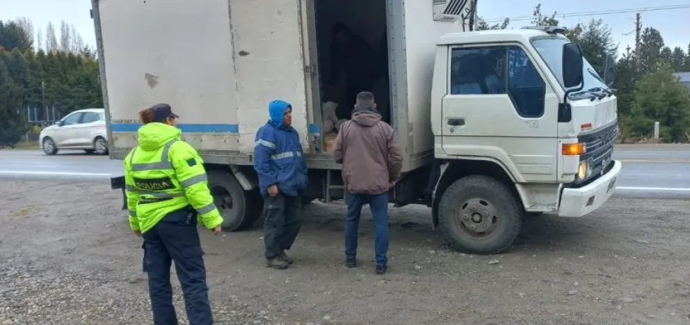 Podía trasladar panificados y lácteos pero llevaba corderos y seis cajas de carne de cerdo
