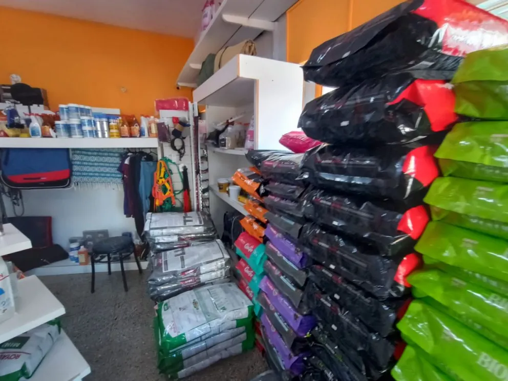 La situación económica golpea a las mascotas de Viedma: cuánto cuesta mantenerlas 