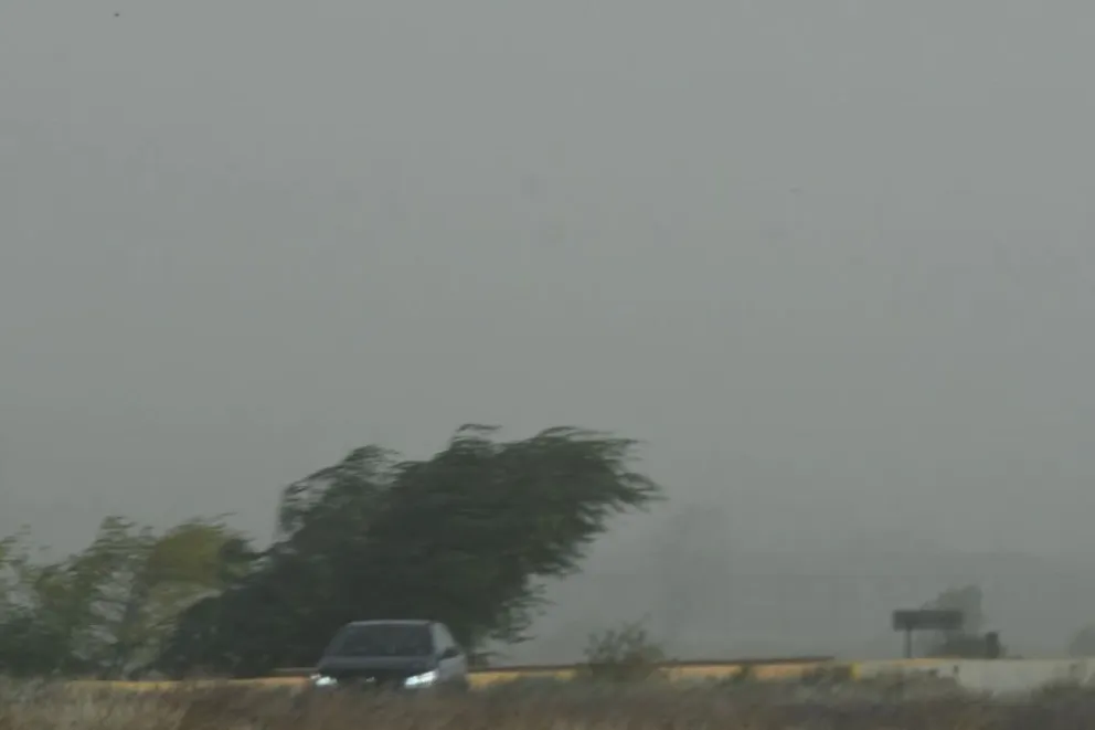 viento salta