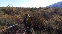 Se produjo un incendio forestal en la zona del Mirador del Peñón