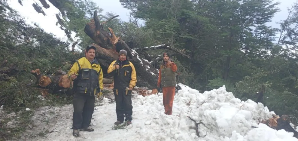 Vialidad Provincial trabaja en la Ruta Provincial Nº 71 tras un alud de nieve y barro que cayó sobre la calzada