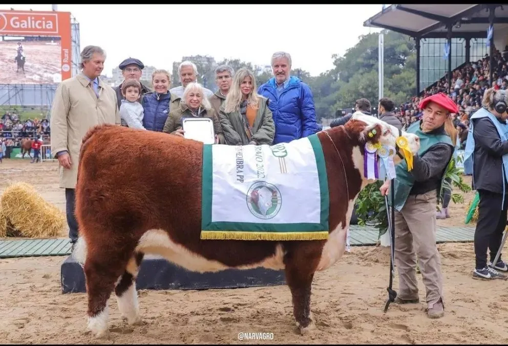 Los animales premiados de Jotace en Palermo se vendieron en destacados precios
