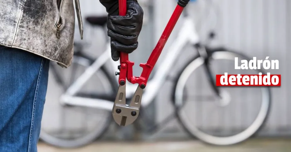 Rawson: le robó la bicicleta a una mujer y fue detenido