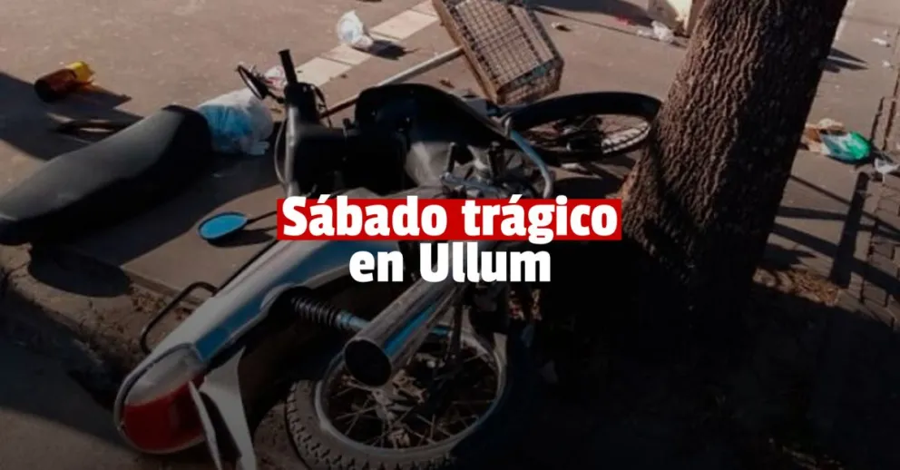 Un motociclista murió tras chocar contra un árbol
