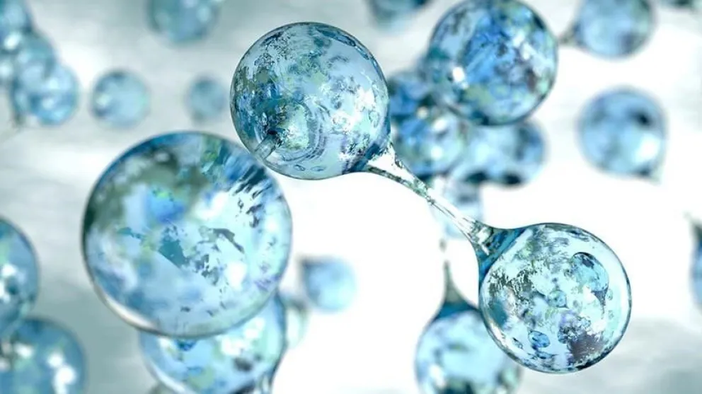 Río Negro y su potencialidad como productor, en la agenda europea