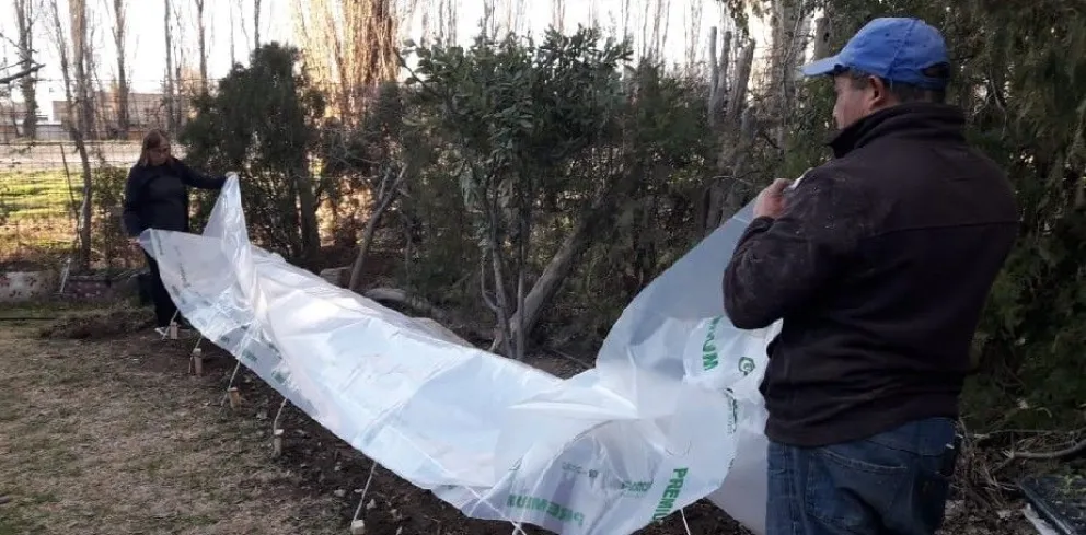 La importancia de producir sus propios alimentos 