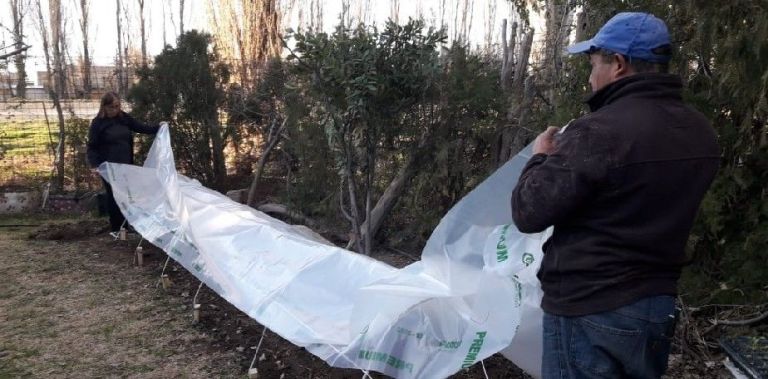 La importancia de producir sus propios alimentos