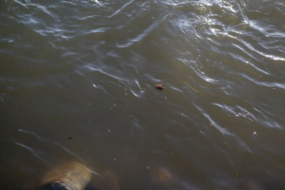 Vecinos denuncian que están arrojando fluidos cloacales en crudo al lago Nahuel Huapi