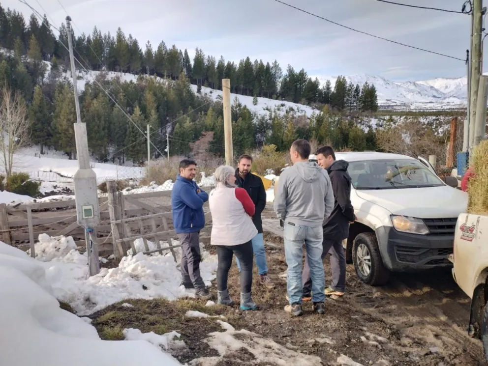 Provincia asiste a productores afectados por el temporal de nieve