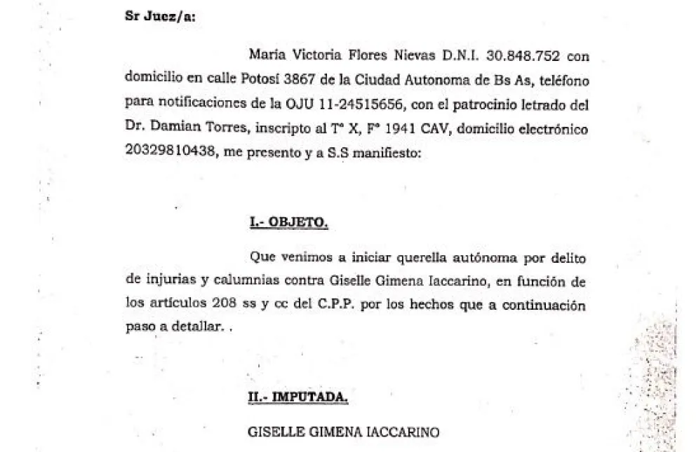 Calumnias e injurias: Victoria Flores Nievas pide que Iaccarino se disculpe públicamente 