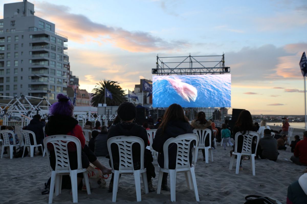 Anuncian la 7ª edición del Patagonia Eco Film Fest