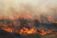 Bomberos voluntarios de Selva buscan extinguir incendios en varios campos