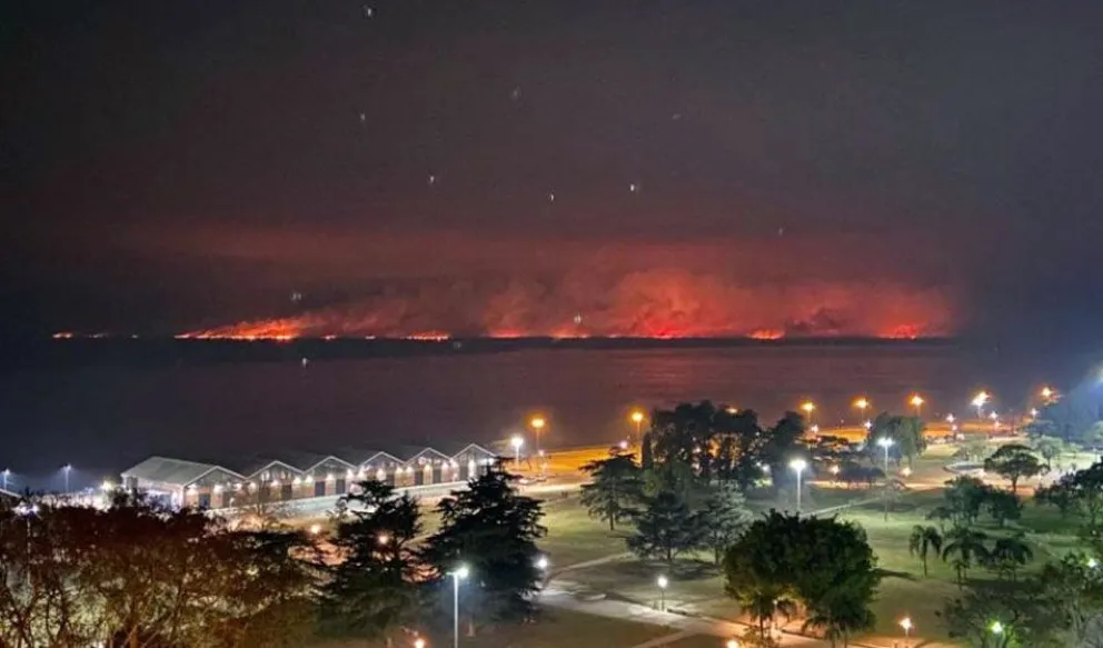 En llamas: el Delta del Paraná lleva más de 700 mil hectáreas incendiadas
