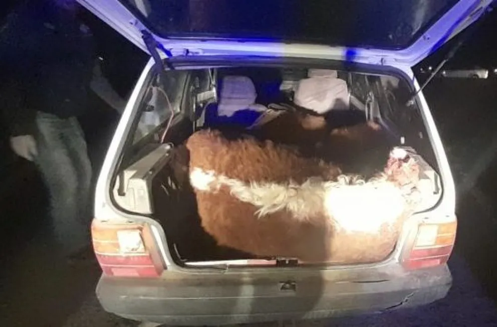 Más detalles del cuatrerismo: había una razón por la cual el Fiat Uno circulaba demasiado cargado