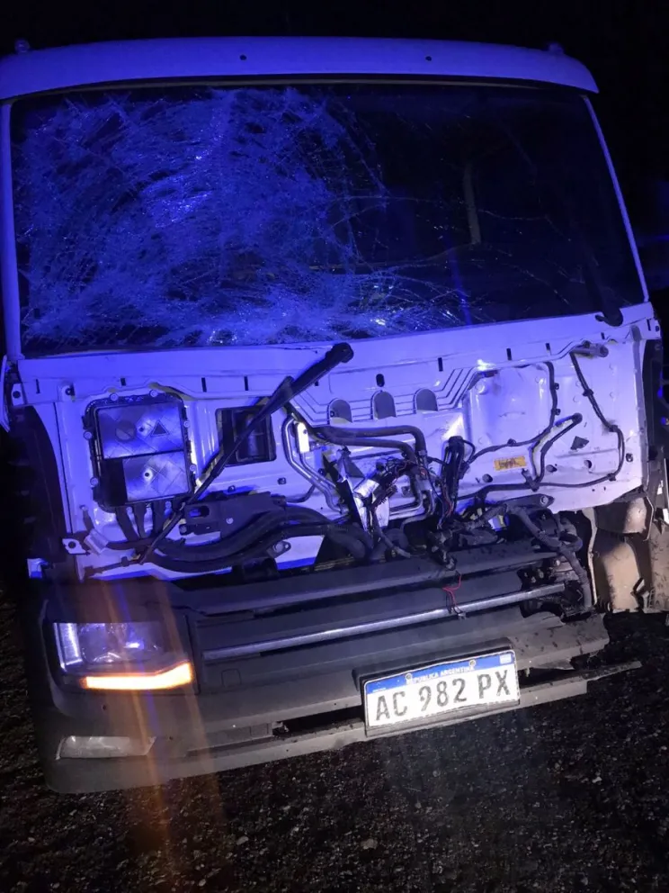 Un conductor de Comodoro chocó con dos caballos en Sarmiento 