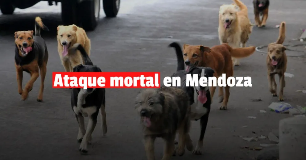 Una mujer murió tras ser atacada en Mendoza