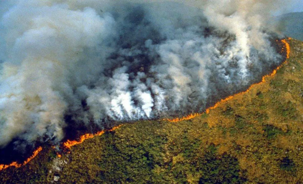 Los incendios en la selva amazónica brasileña aumentaron un 7,9% en julio