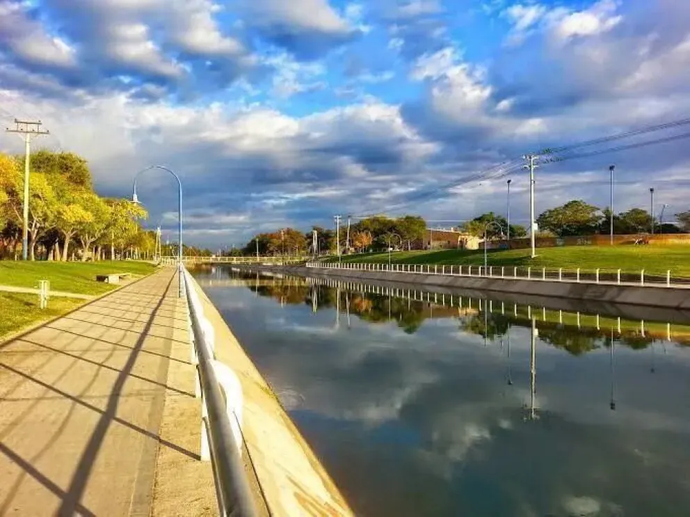 Exigen que se coloquen “barras de sujeción” para rescatar animales que caen al Canal Grande 