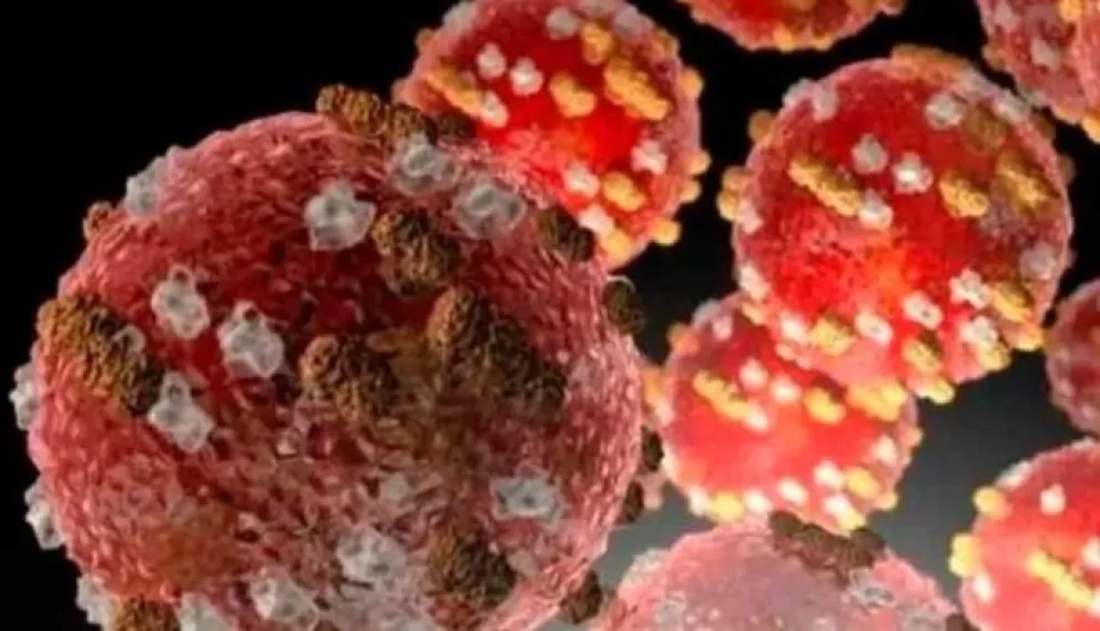 Viruela del mono: se confirmó el primer argentino que murió a causa de este virus