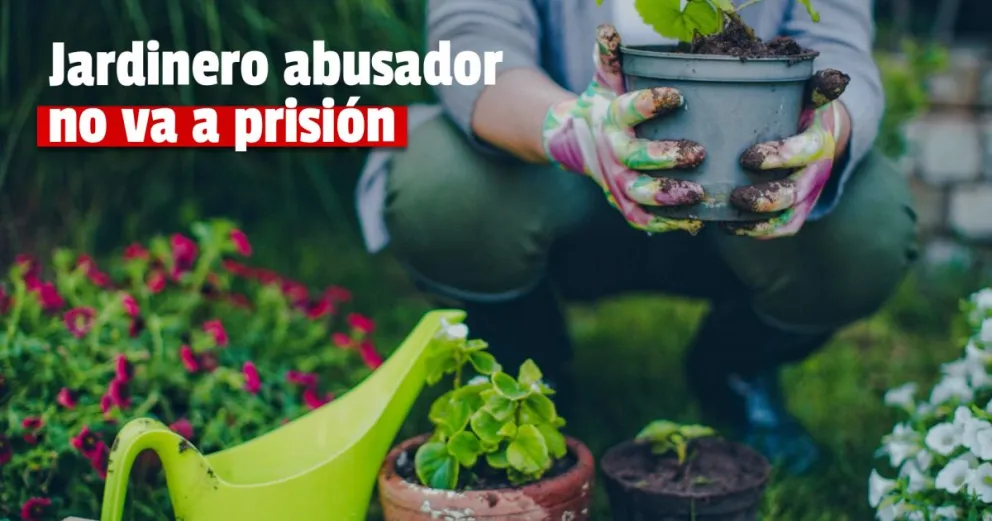 Condenaron a un jardinero por abusar de una menor de edad  