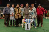 Santiago se destacó en la Expo Rural de Buenos Aires
