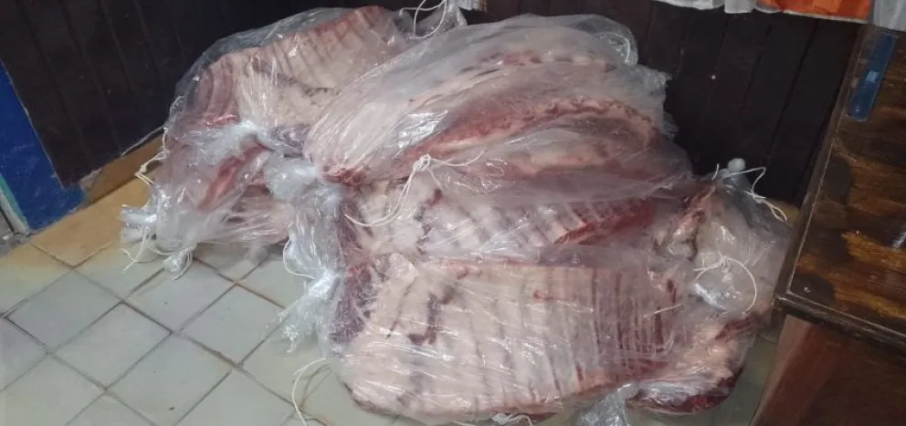 Decomisan 30 costillares en Río Colorado que eran transportados a Roca