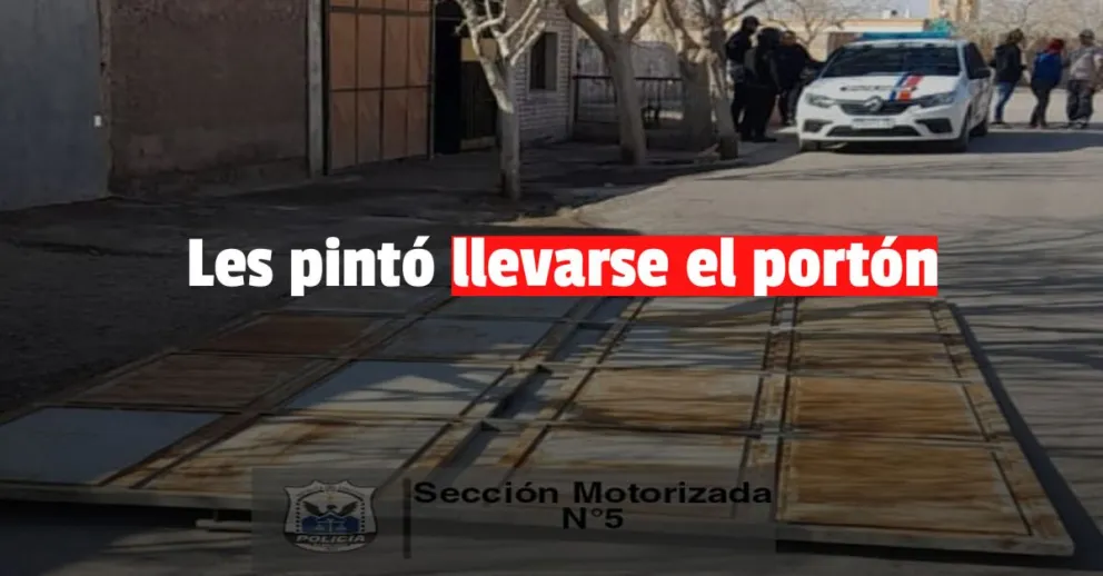 Dos jóvenes intentaron robar un portón y fueron detenidos 
