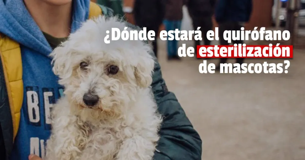 El barrio Aramburu se prepara para recibir el quirófano de esterilización de mascotas