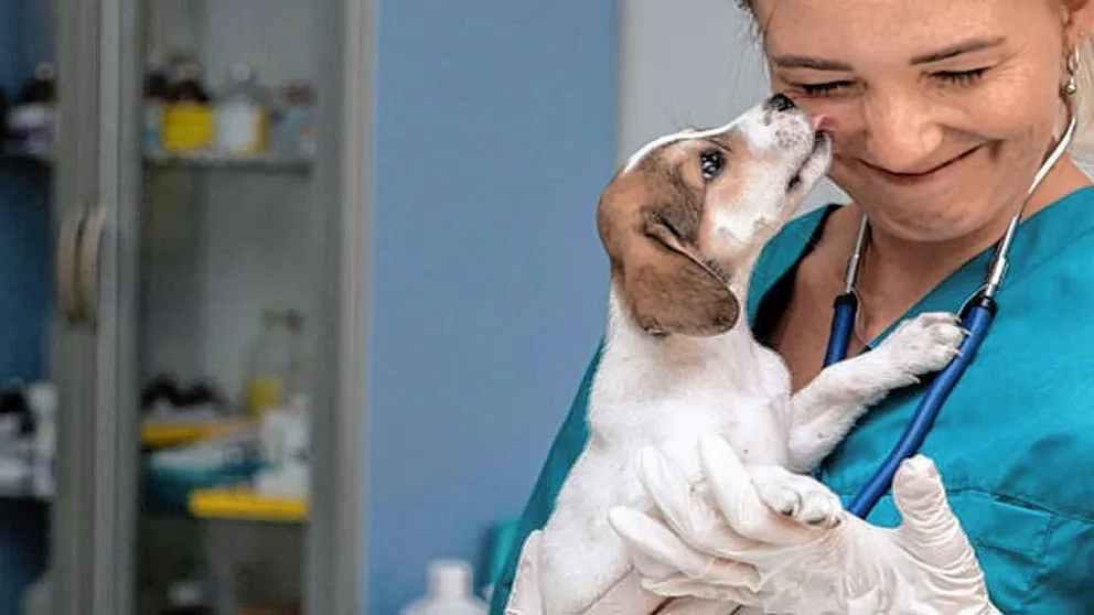 6 de agosto: hoy se conmemora el Día del Veterinario