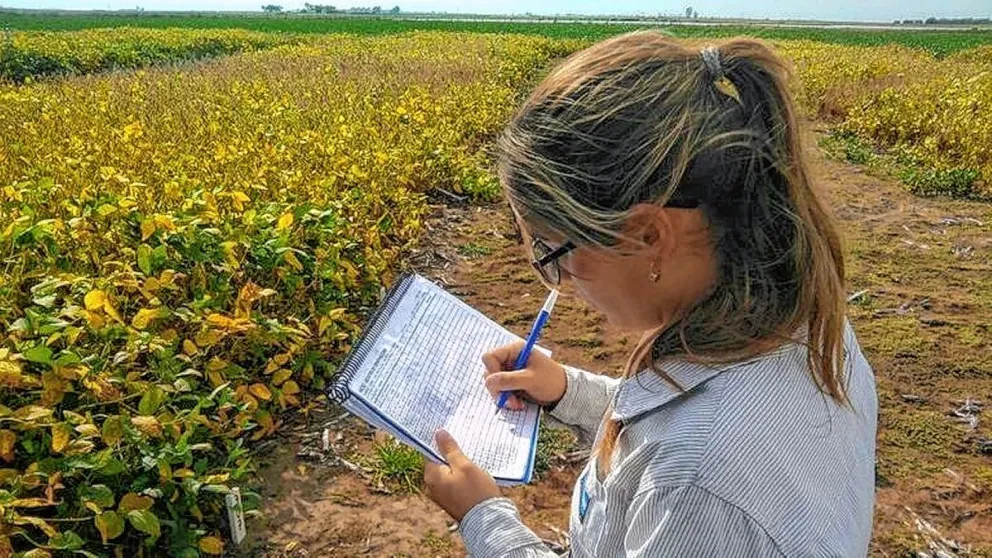 Día del Ingeniero Agrónomo en Argentina
