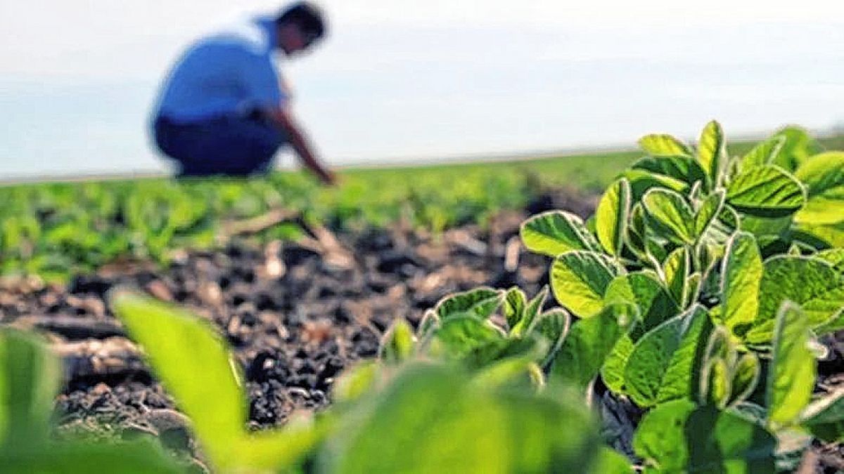 Maestría en Ciencias Agropecuarias