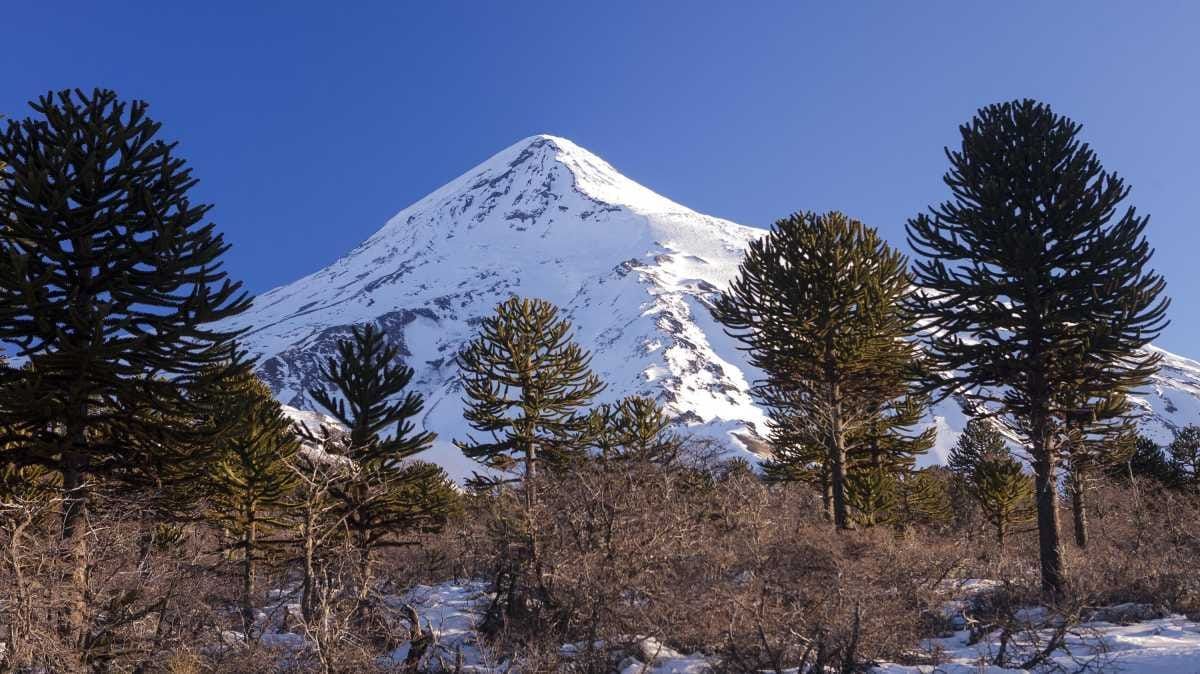 Comunicado sobre la marcha atrás del Sitio Sagrado Volcán Lanin