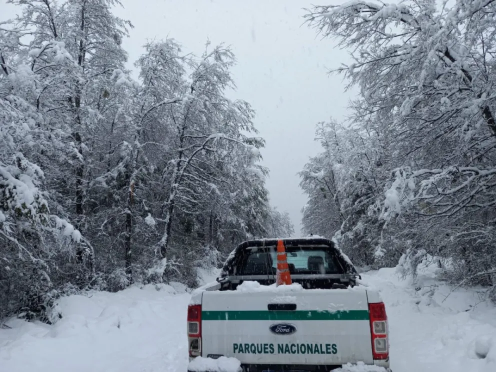 Estado de los caminos de montaña dentro del Parque Nacional Nahuel Huapi
