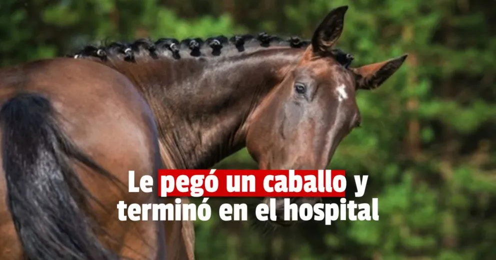 Un hombre fue hospitalizado por recibir una patada de un caballo 