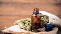 Cannabis medicinal: “Hay que desmitificar un poco este tema, tampoco es algo mágico que cura todo” dijo médico especialista