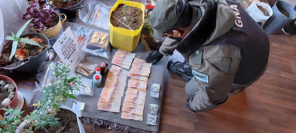 Gendarmería allanó  tres inmuebles y secuestró marihuana y cocaína