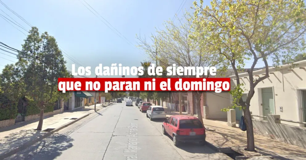 Incertidumbre: quemaron un contenedor y una palmera en Capital