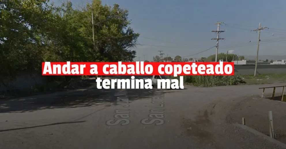 Salieron a dar una vuelta en caballo borrachos: uno se pegó un golpazo y terminó detenido 